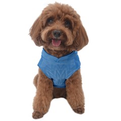 Blue Joy Dog Sweater by LW41021