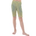 Shine On Kids  Mid Length Swim Shorts View1