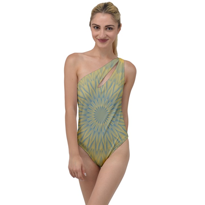 Shine On To One Side Swimsuit