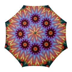 Passion Flower Golf Umbrellas by LW323