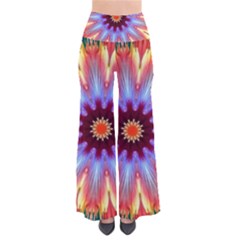 Passion Flower So Vintage Palazzo Pants by LW323