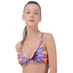 Passion Flower Knot Up Bikini Top by LW323