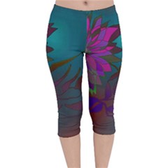 Evening Bloom Velvet Capri Leggings  by LW323