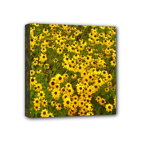 Daisy May Mini Canvas 4  X 4  (stretched) by LW323