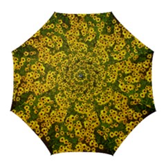 Daisy May Golf Umbrellas by LW323