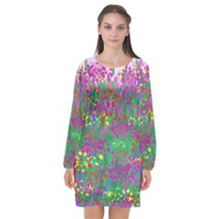 Bay Garden Long Sleeve Chiffon Shift Dress  by LW323