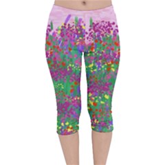 Bay Garden Velvet Capri Leggings  by LW323