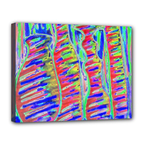 Vibrant-vases Canvas 14  X 11  (stretched) by LW323