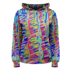 Vibrant-vases Women s Pullover Hoodie by LW323