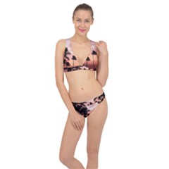 Palm Trees Classic Banded Bikini Set  by LW323