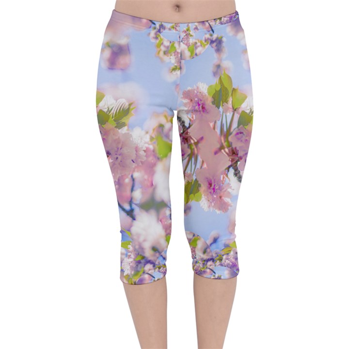 Bloom Velvet Capri Leggings 