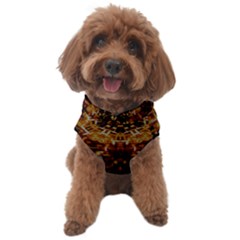 Gloryplace Dog Sweater by LW323