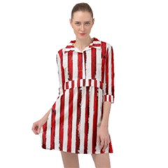 Red Stripes Mini Skater Shirt Dress by goljakoff