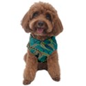 Digital springs Dog Sweater View1