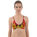 Color-background-structure-lines Wrap Around Bikini Top View1