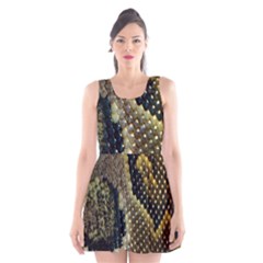 Leatherette Snake 2 Scoop Neck Skater Dress by skindeep