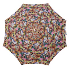 Retro Color Straight Umbrellas by Sparkle