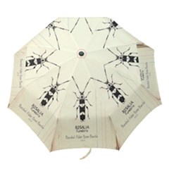 Banded Alder Borer  Folding Umbrellas by Limerence