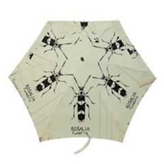 Banded Alder Borer  Mini Folding Umbrellas by Limerence