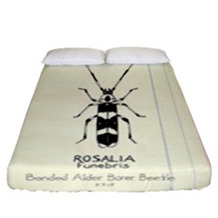 Banded Alder Borer  Fitted Sheet (queen Size) by Limerence