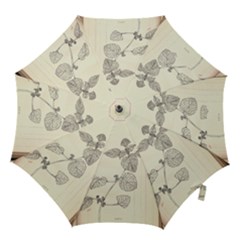 Lemon Balm Hook Handle Umbrellas (large) by Limerence