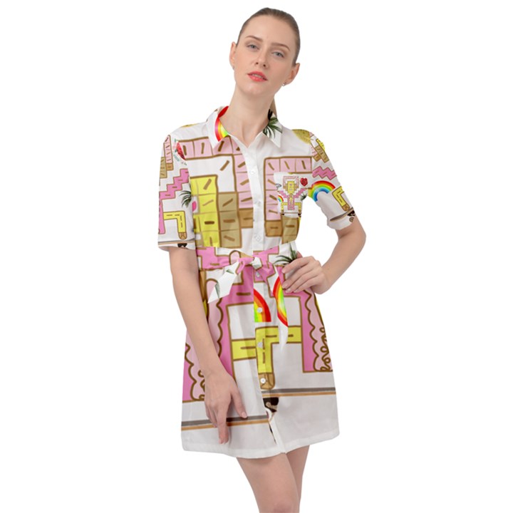 Music and Other Stuff Belted Shirt Dress