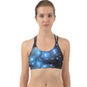 M45 Back Web Sports Bra View1