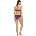 Garden Wall Banded Triangle Bikini Set View4