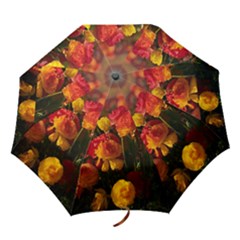 Vered-caspi-orlqbmy1om8-unsplash Folding Umbrellas by jellybeansanddinosaurs