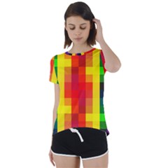 Pride Plaid Short Sleeve Foldover Tee by WetdryvacsLair