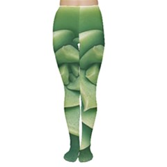 Echeveria Imbricata Closeup Photo Tights by dflcprintsclothing