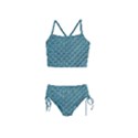 Bubble Wrap Girls  Tankini Swimsuit View1