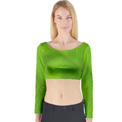 Banana Leaf Long Sleeve Crop Top by artworkshop