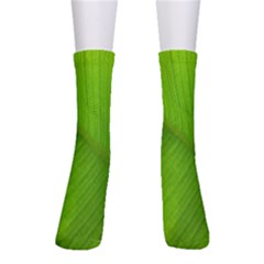 Banana Leaf Crew Socks by artworkshop