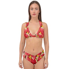 Watermelon Double Strap Halter Bikini Set by artworkshop