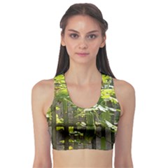 Bitter Melon Sports Bra by artworkshop