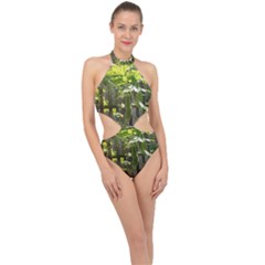 Bitter Melon Halter Side Cut Swimsuit by artworkshop