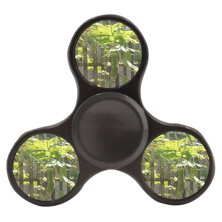 Bitter Melon Finger Spinner