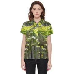 Bitter Melon Short Sleeve Pocket Shirt by artworkshop