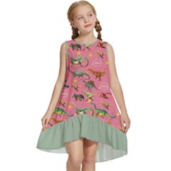 9 7c5 3-01 Kids  Frill Swing Dress by flowerland