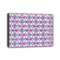 Hackers Town Void Mantis Hexagon Bigender Pride Flag Mini Canvas 7  x 5  (Stretched) View1