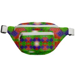 Helix Heaven Fanny Pack by Thespacecampers