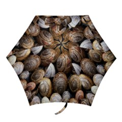 Snail Shells Pattern Arianta Arbustorum Mini Folding Umbrellas by artworkshop