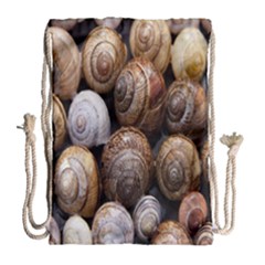 Snail Shells Pattern Arianta Arbustorum Drawstring Bag (large) by artworkshop