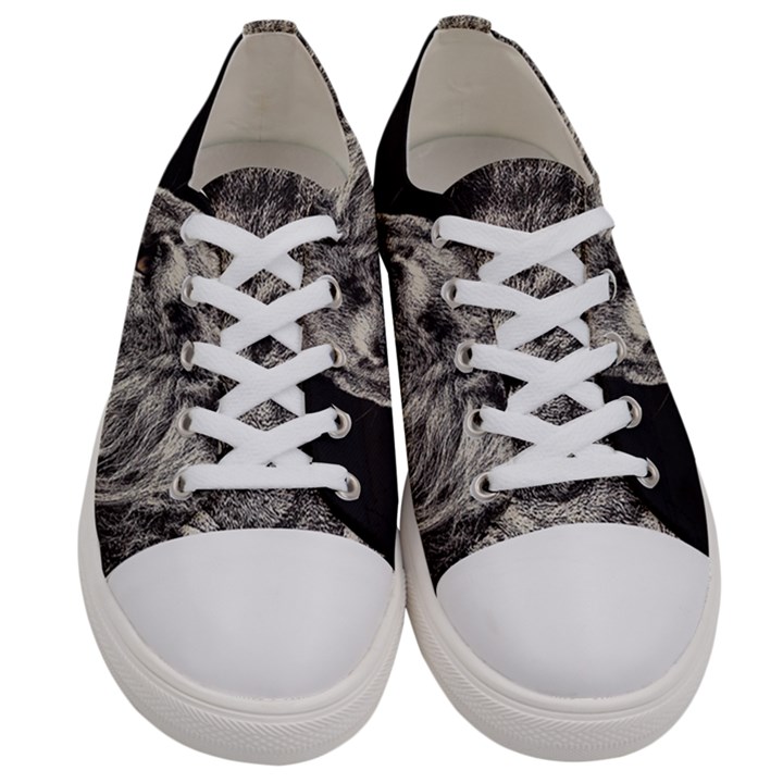 Angry Male Lion Women s Low Top Canvas Sneakers