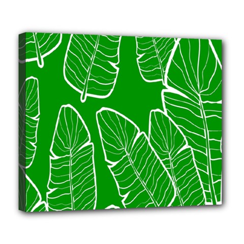 Green Banana Leaves Deluxe Canvas 24  X 20  (stretched) by ConteMonfreyShop