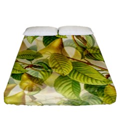 Pear Fruit Tree Organic Pattern Fitted Sheet (queen Size) by Wegoenart