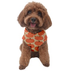 Cute Pumpkin Dog Sweater by ConteMonfrey