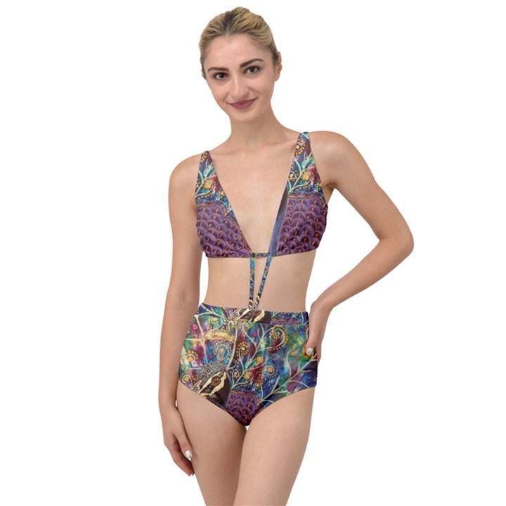 Peacock Mixed Media Bird Animal Tied Up Two Piece Swimsuit