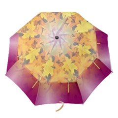 Colorful Nature Folding Umbrellas by Sparkle